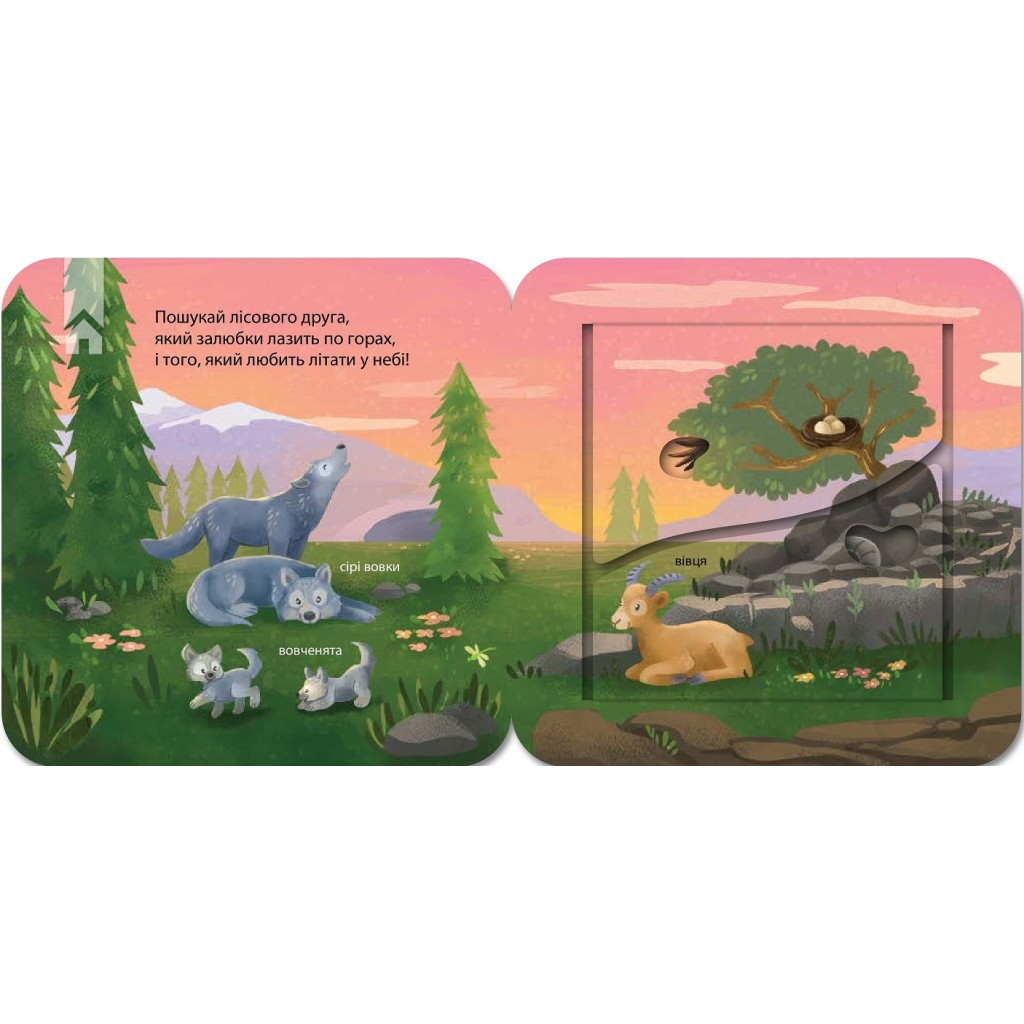 Книга Хто живе у лісі? Зазирни у віконечко - Джей Ґарнетт КСД (9786171502840) - изображение 3