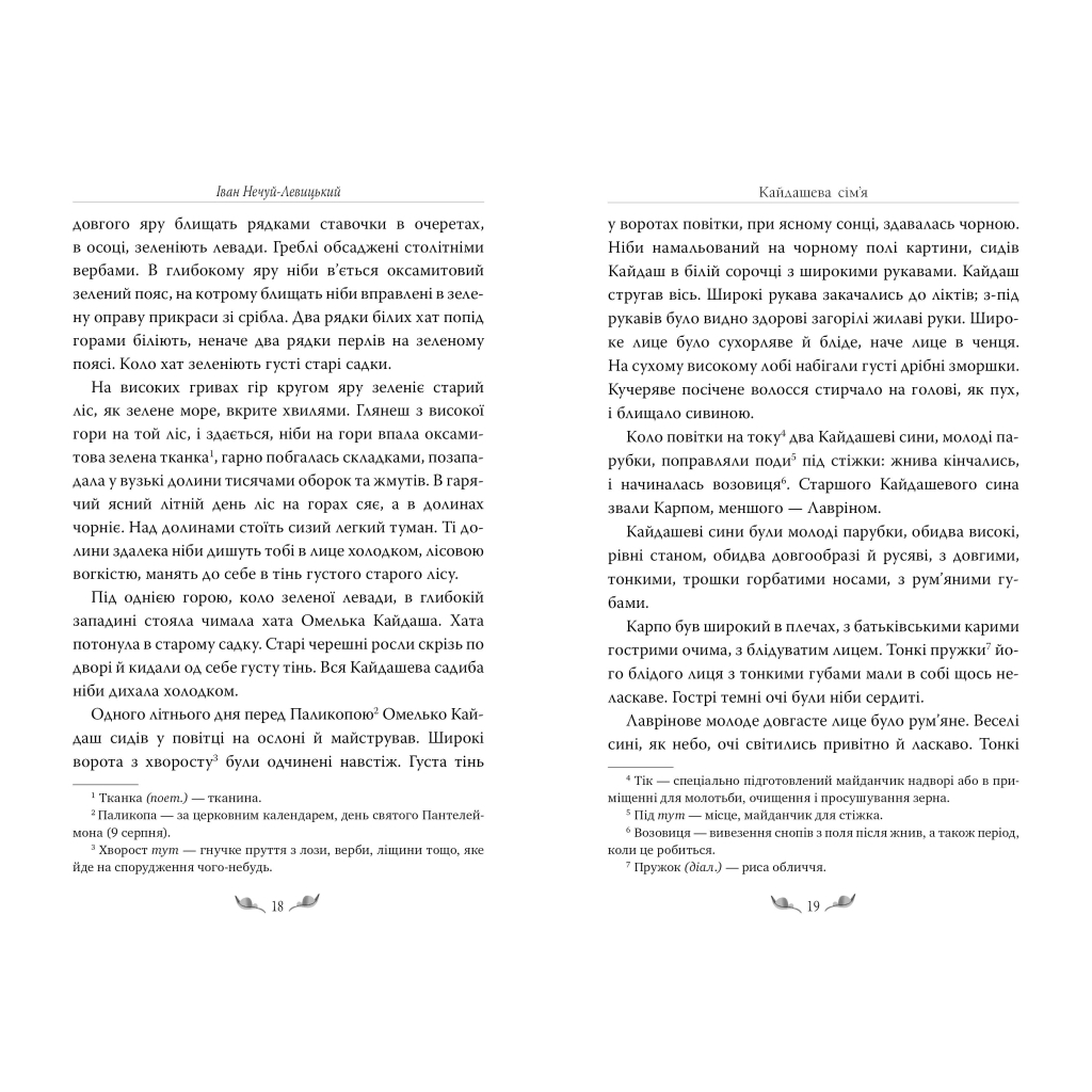 Книга Кайдашева сім'я - Іван Нечуй-Левицький Видавництво РМ (9786178248765) - зображення 5