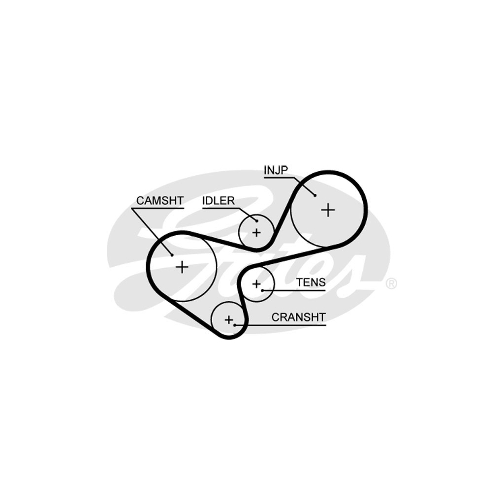 Ремінь ГРМ Gates 5639XS - зображення 1