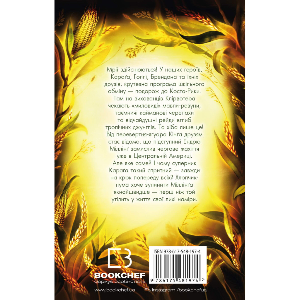 Книга Діти лісу. Незвіданий край. Книга 4 - Катя Брандіс BookChef (9786175481974) - зображення 3