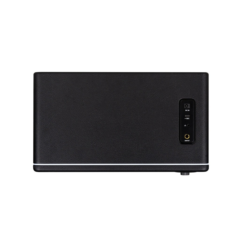 Комбопідсилювач Mooer Hornet 30i Black - зображення 3