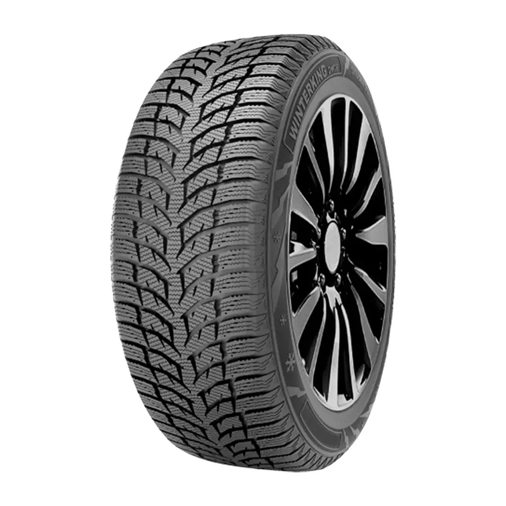 Шина Doublestar Winterking DW08 205/60R16 92T - изображение 1