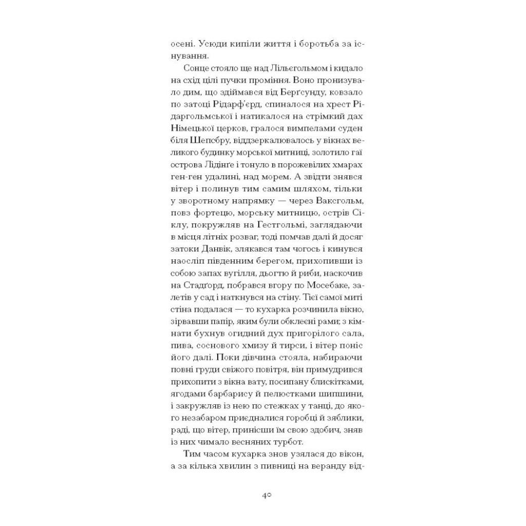 Книга Червона кімната - Авґуст Стріндберґ Ще одну сторінку (9786175221532) - зображення 11