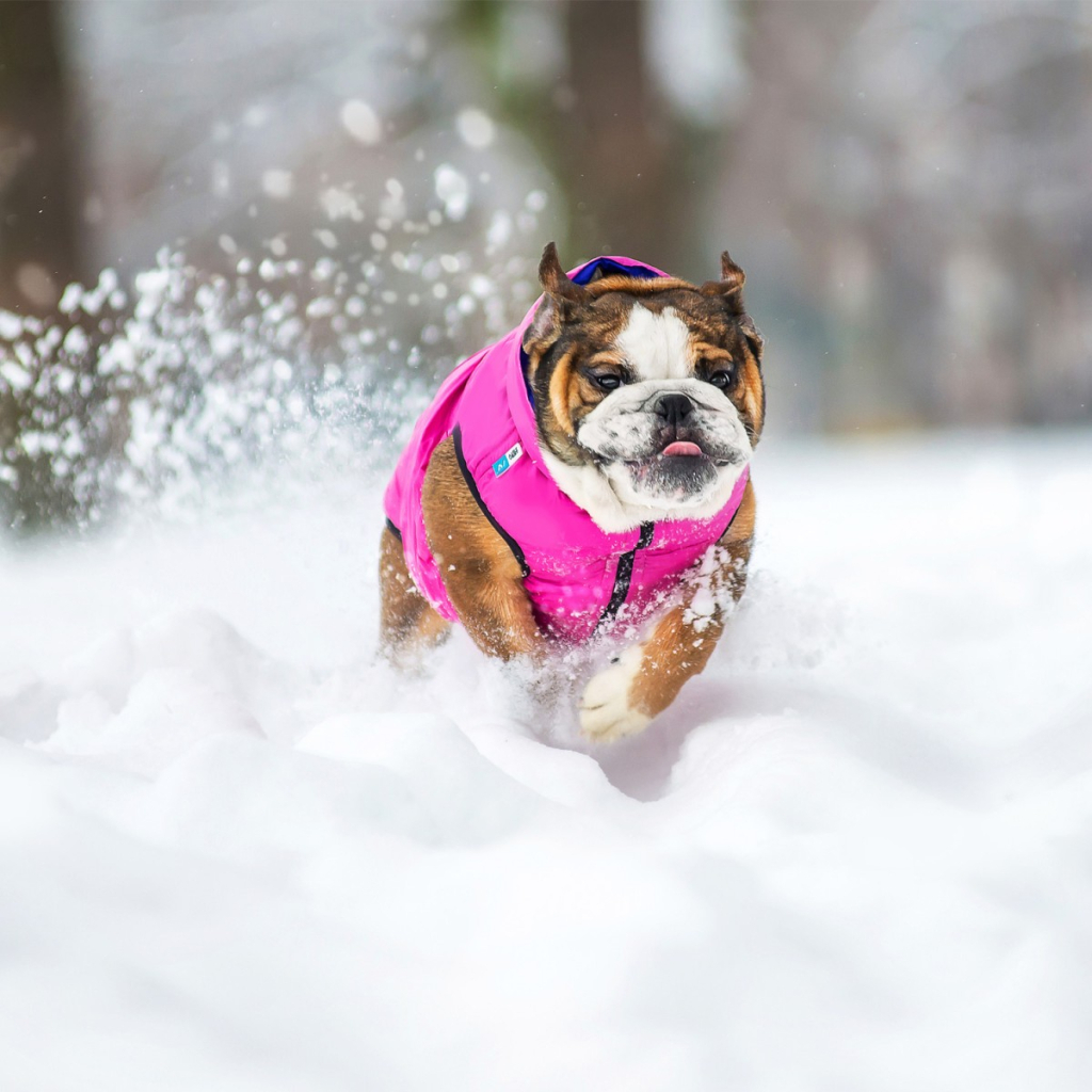 Курточка для тварин Airy Vest двостороння М 40 фіолетово-рожева (1842) - изображение 6