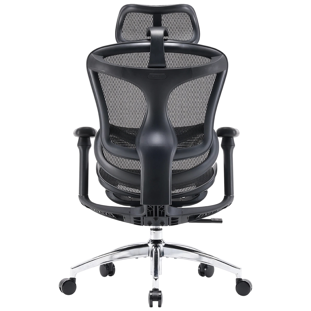 Офісне крісло Sihoo DORO C300L Mesh Black (DORO-C300L-A3-101) - зображення 3