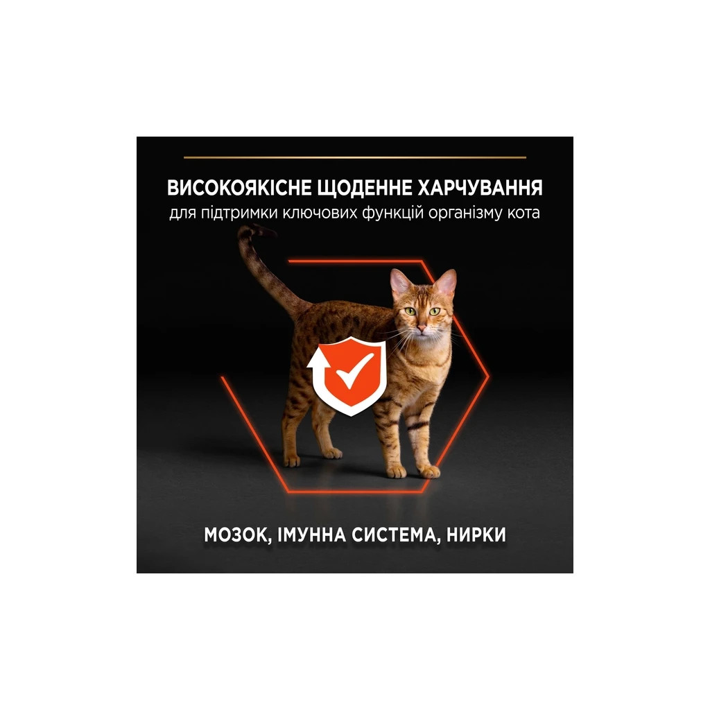 Сухий корм для кішок Purina Pro Plan Original з лососем 400 г (7613036545037) - зображення 4