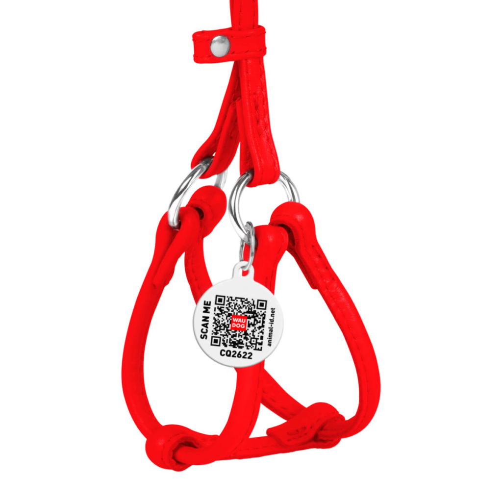Шлея для собак WAUDOG Glamour з повідцем кругла Д 6 мм А 26-46 см В 30-50 см червона (34013) - зображення 2