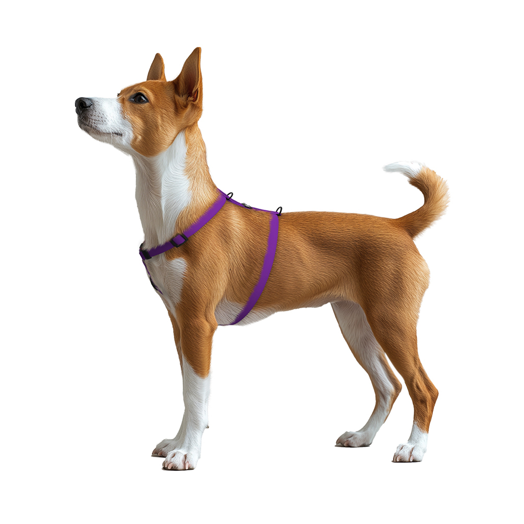 Шлея для собак WAUDOG Magnet анатомічна Н-подібна з QR-паспортом, магнітна пряжка-фастекс S фіолетова (26229) - зображення 5