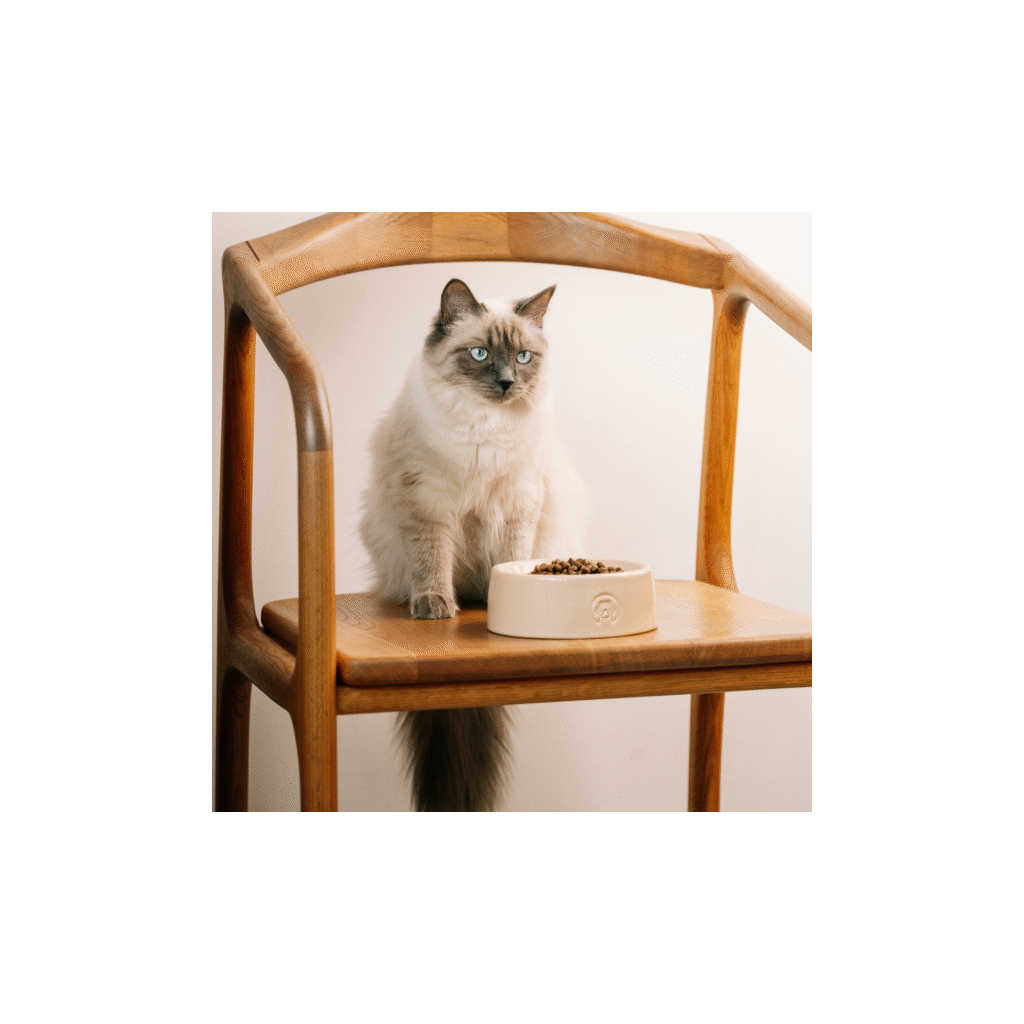 Посуд для собак Savory (savory.pet) Керамічна миска для собак Sphere Ceramic Bowl Savory 225 мл (2700000055090) - изображение 4