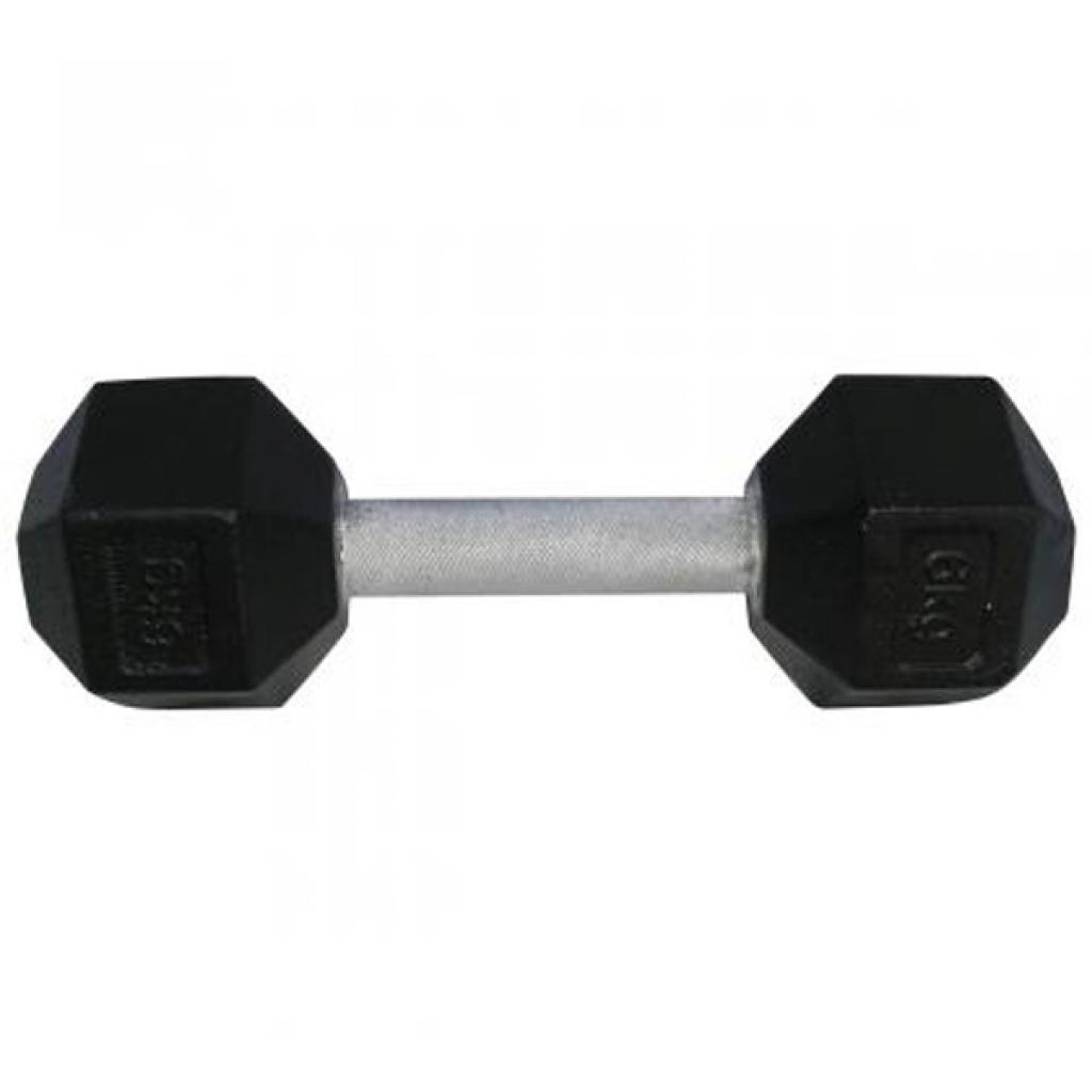 Гантель Newt profi 6кг (NE-101-006) - зображення 1