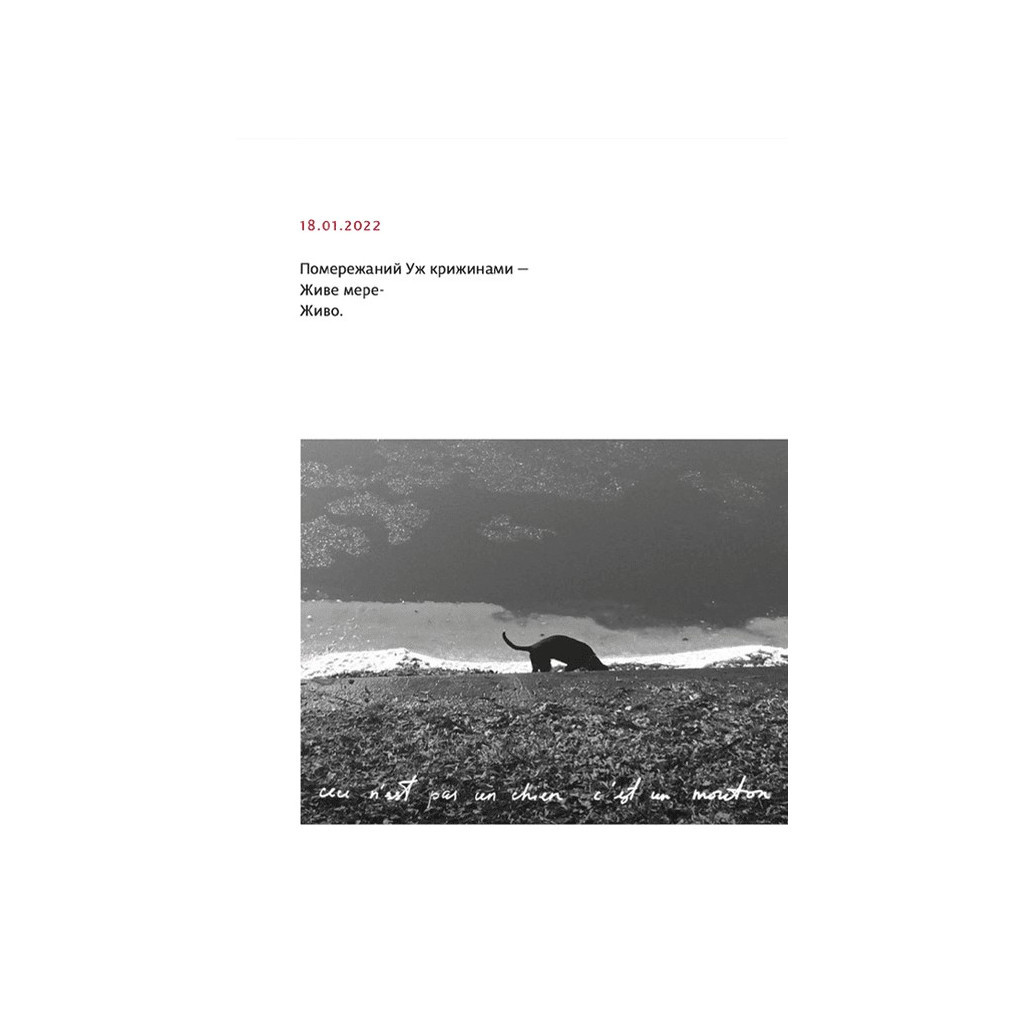 Книга PRIMITIVO - Мар'яна Прохасько Видавництво Старого Лева (9789664481042) - зображення 4