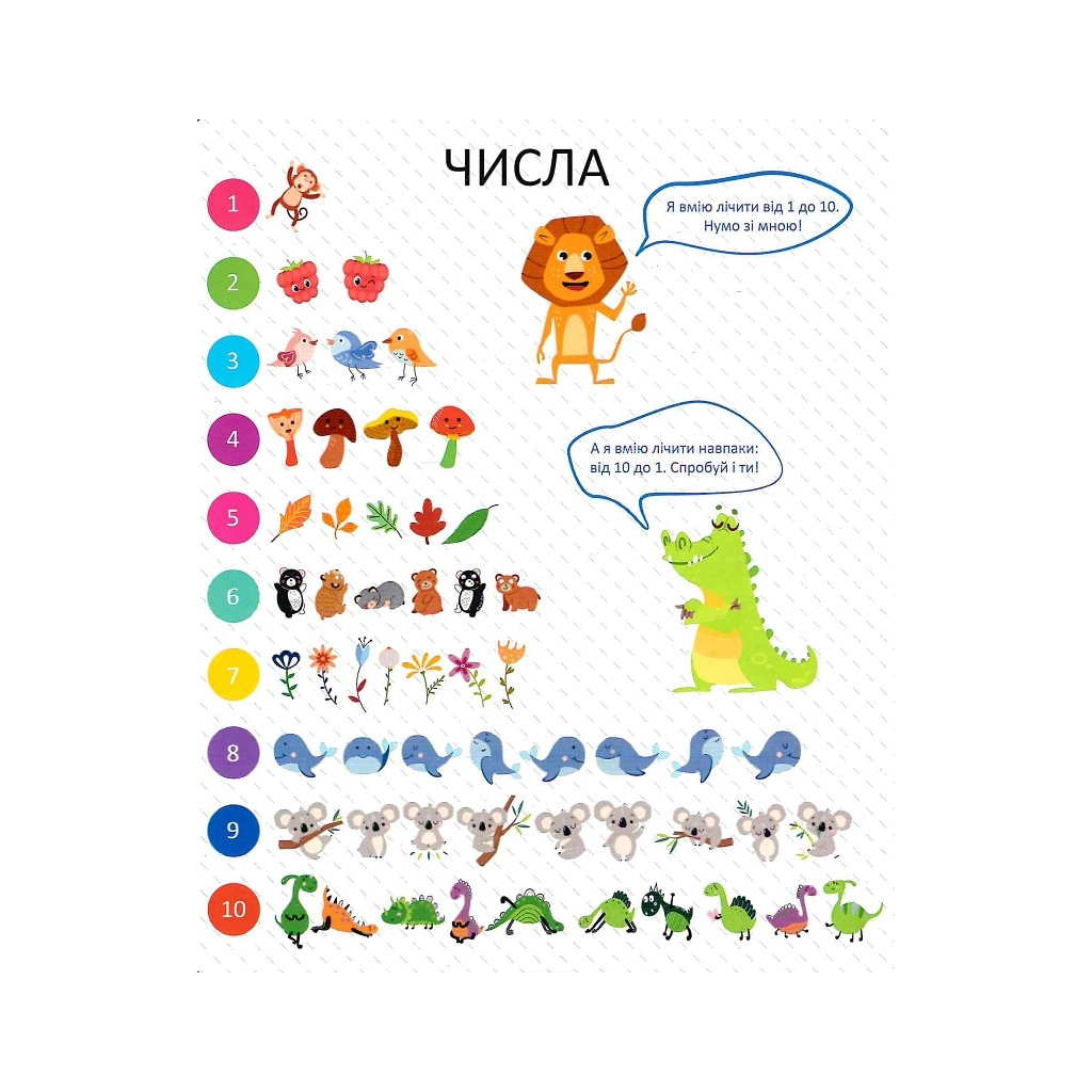 Книга Мої перші цифри - Ольга Шевченко Vivat (9789669827456) - зображення 7