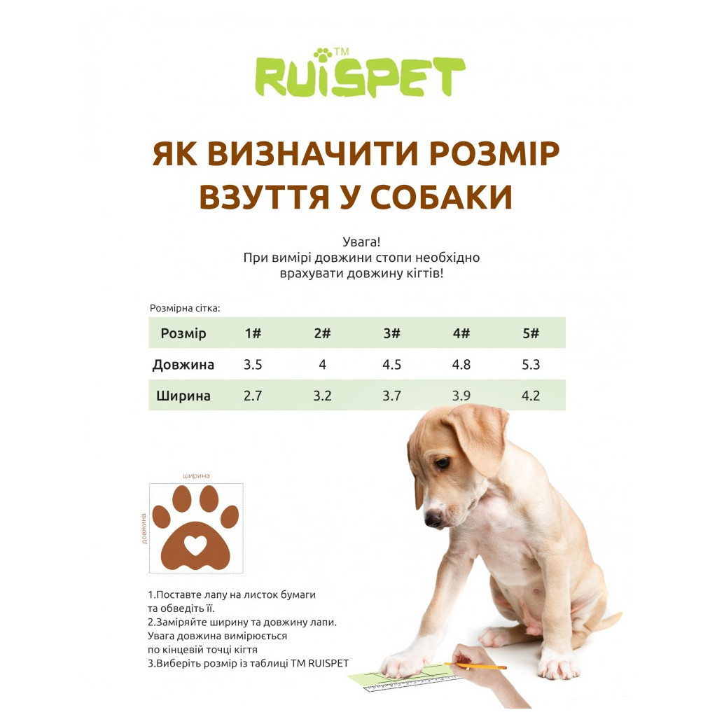 Черевики для собак Ruispet для малих порід, водонепроникні 4 шт №1 зелені (2700000033135) - зображення 3