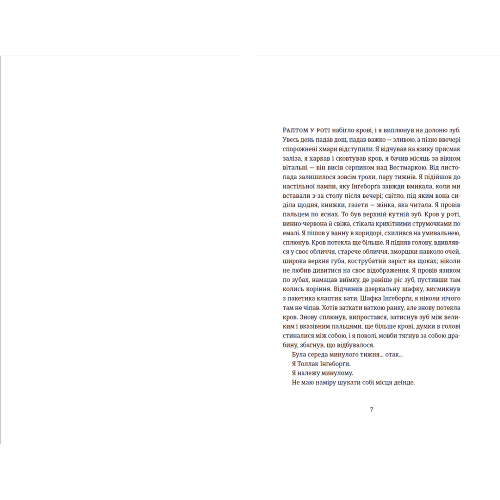 Книга Толлак Інґеборґи - Туре Ренберґ Видавництво Старого Лева (9789664480342) - зображення 3