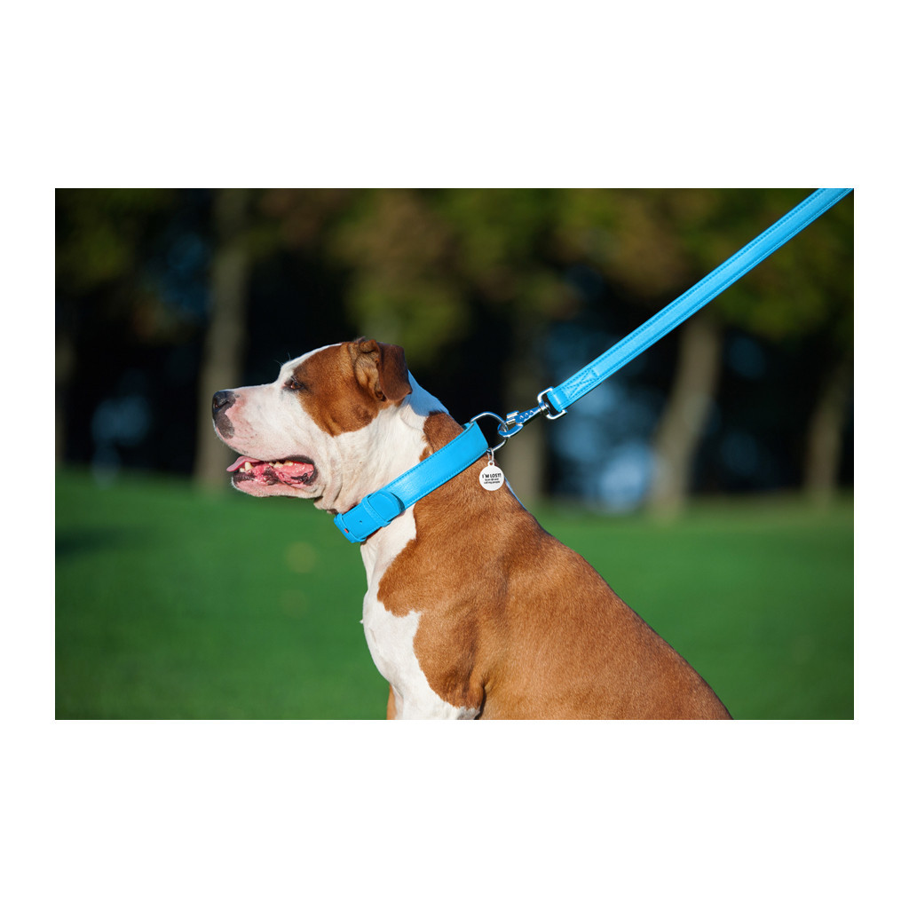 Повідець для собак WAUDOG Glamour шкіряний M-XXL блакитний (33762) - зображення 7