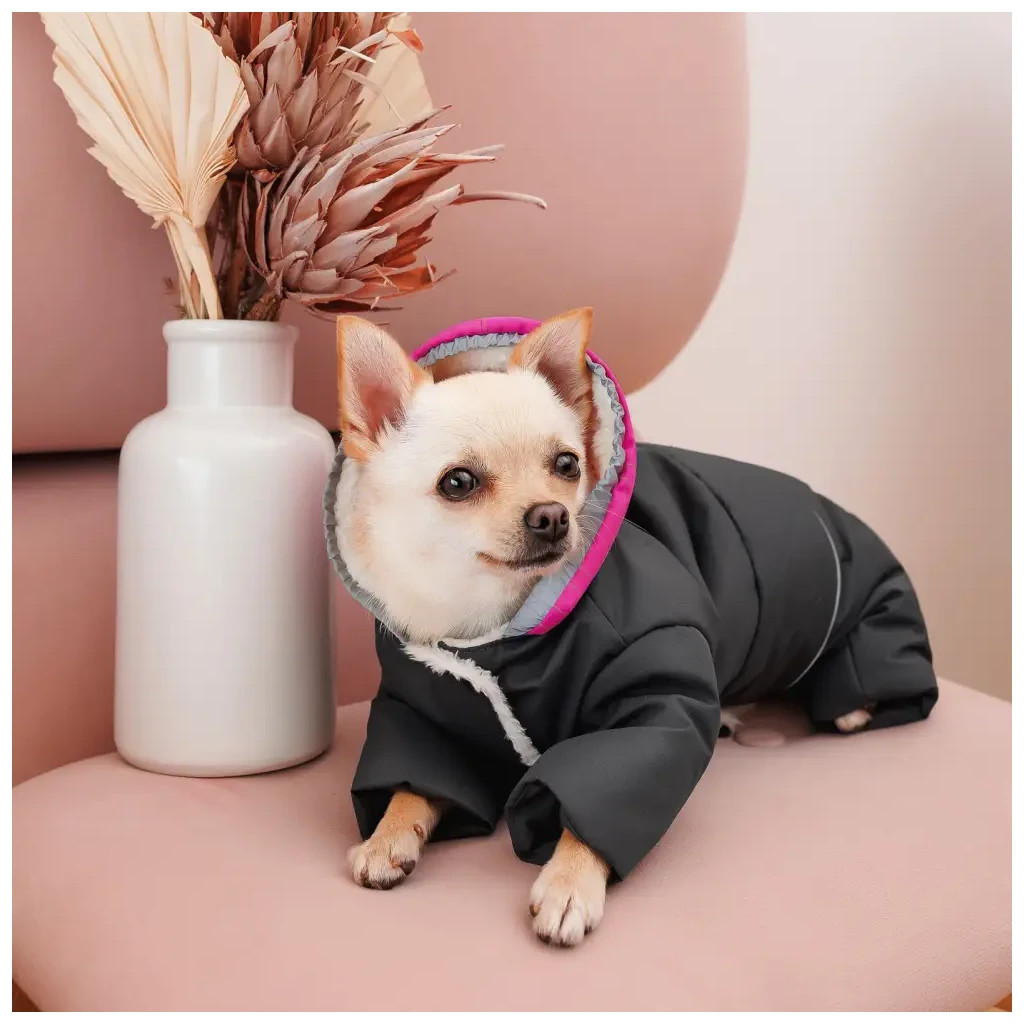 Костюм для тварин Buddy Boo Iden S (4823082432202) - изображение 8