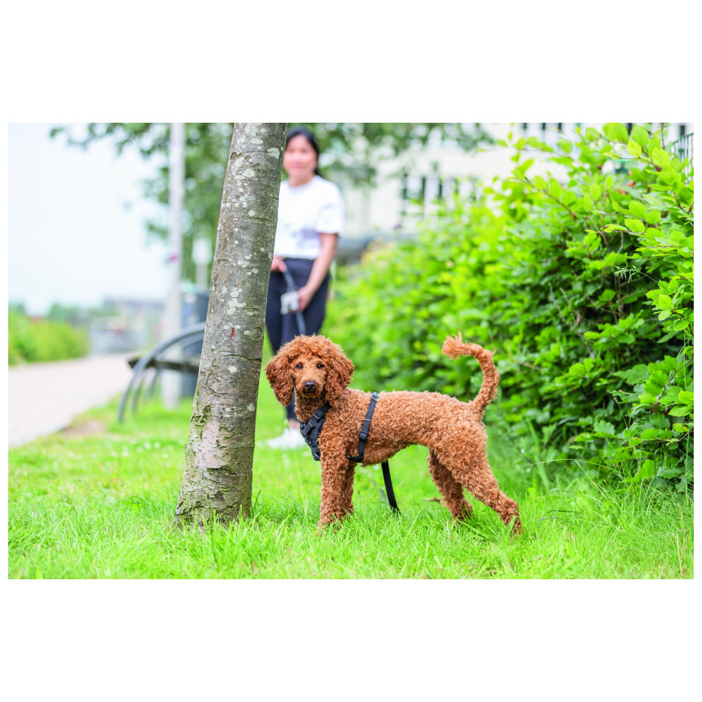 Шлея для собак Trixie CityStyle H-harness Бавовна S–M 42–60 см 15 мм Чорна (4053032683273) - зображення 3