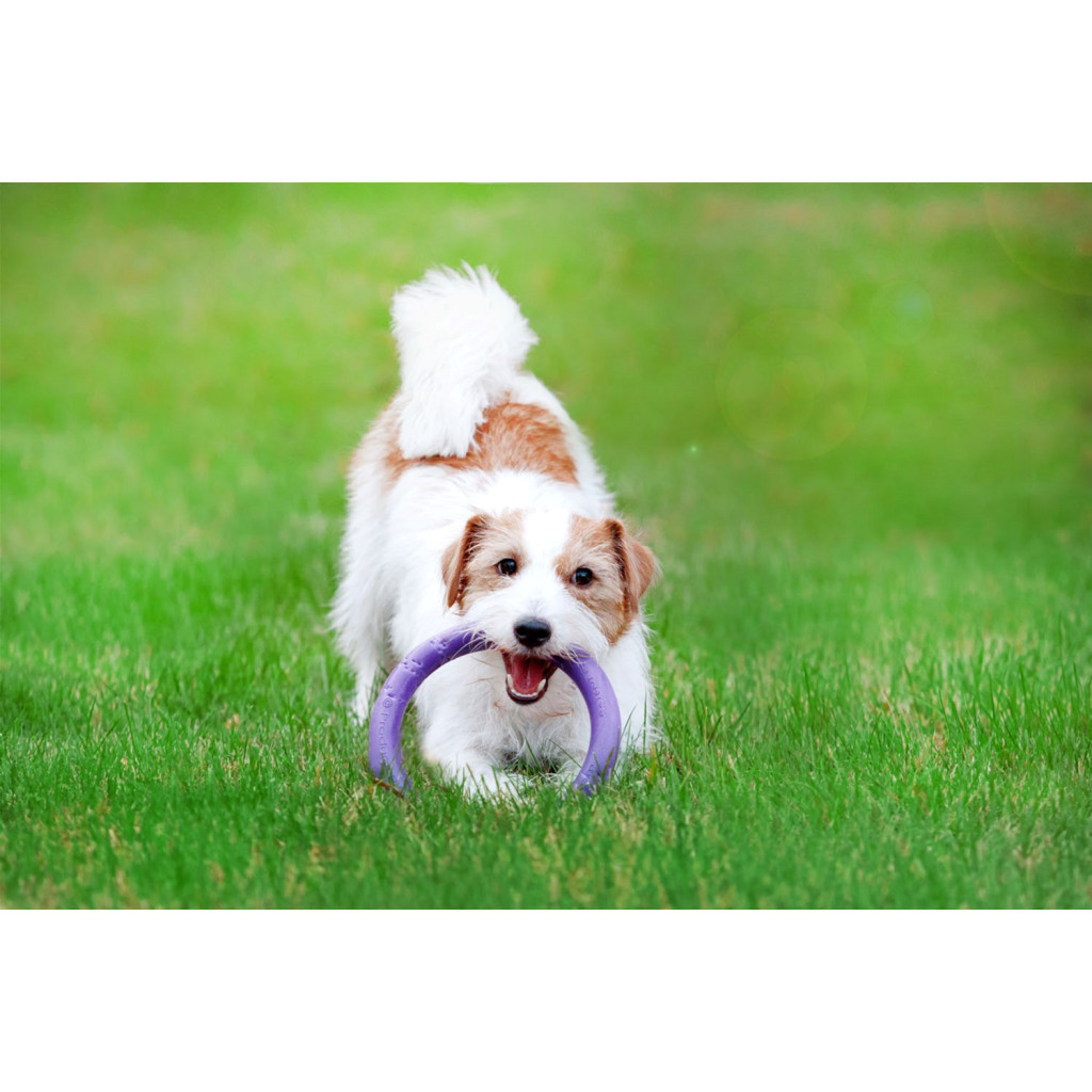 Іграшка для собак Puller Mini 18 см (6491) - зображення 9