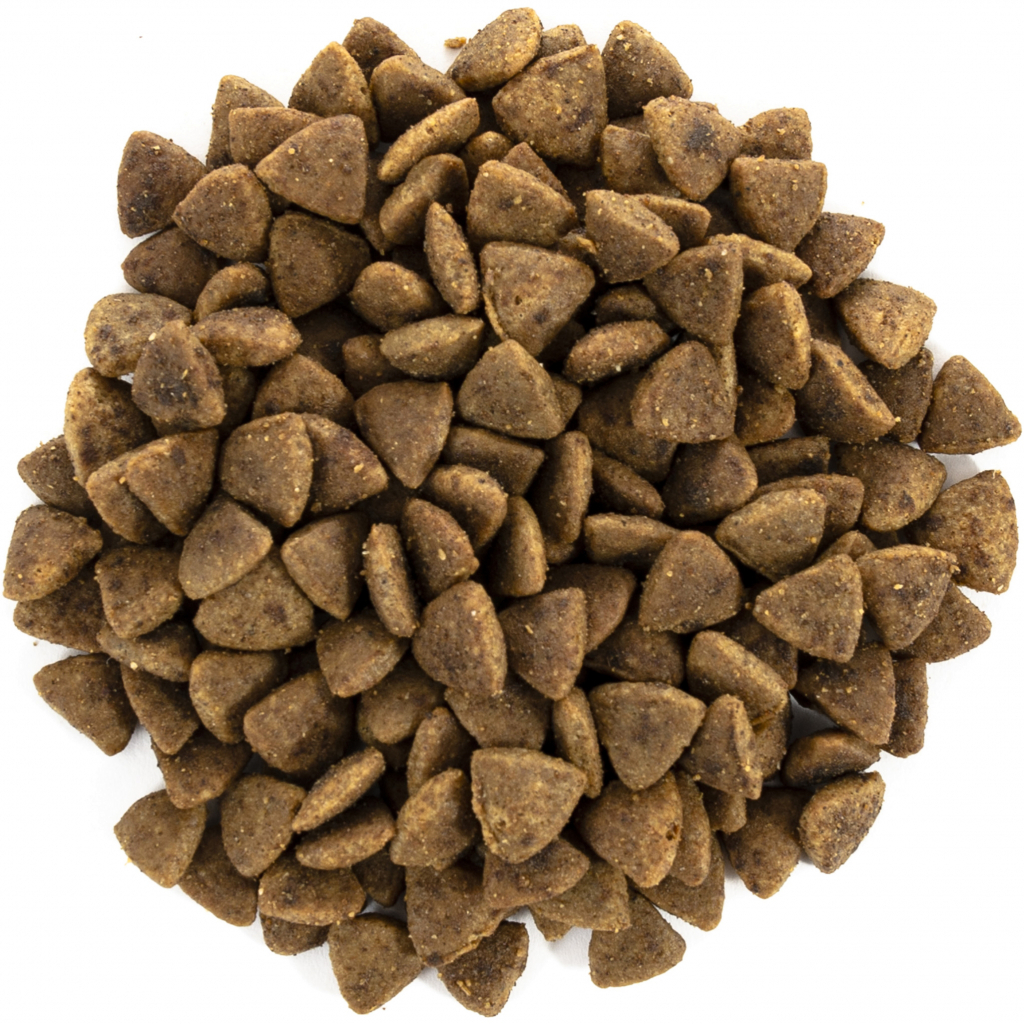 Сухий корм для кішок Brit Care Cat GF Adult Activity Support 7 кг (8595602540815) - зображення 4