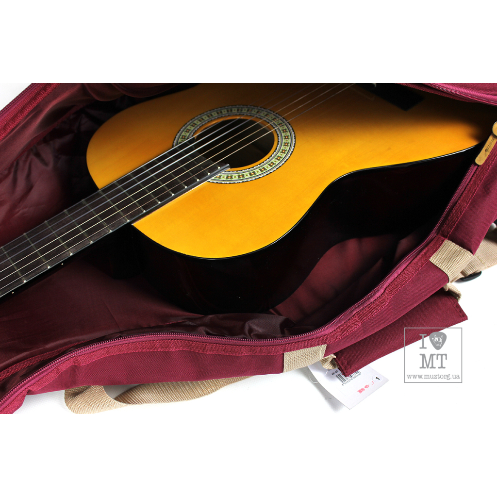 Чохол для гітари Ibanez ICB541 WR (225789) - изображение 7