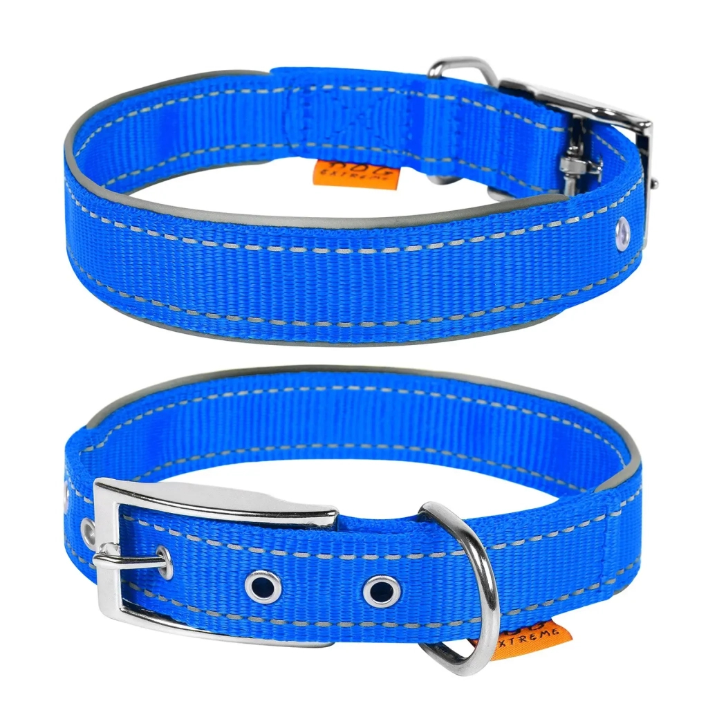 Нашийник для тварин Collar Dog Extremе 25 мм 38-48 см (блакитний) (67042) - зображення 1