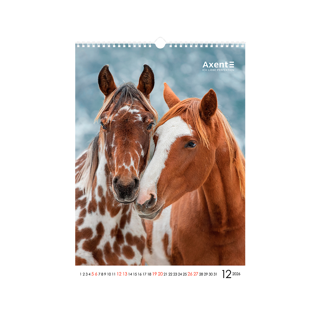 Календар Axent настінний А3 2026 р. Horses (8804-26-3-A) - изображение 13