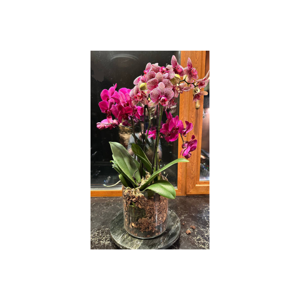 Ваза Ecomo Cylinder 19 x 19 см (35096) - зображення 5