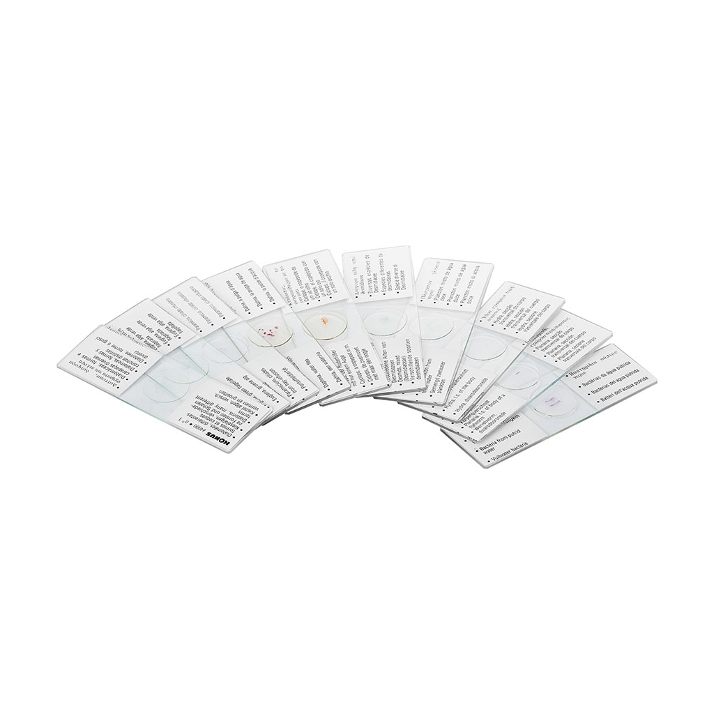 Набір мікропрепаратів Konus Біологія Дивовижна структура клітин 10 шт (4886) - зображення 3