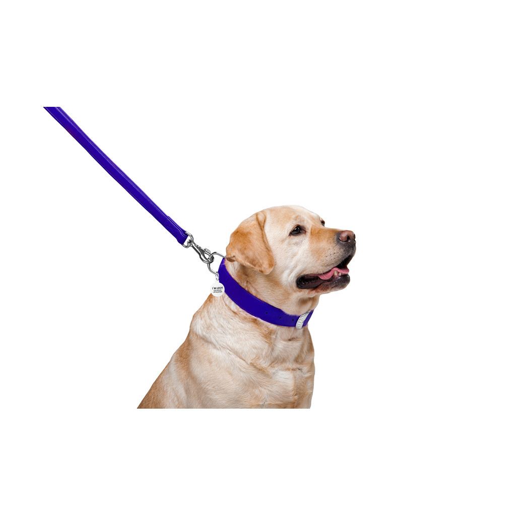 Повідець для собак WAUDOG Glamour шкіряний M-XXL фіолетовий (33769) - зображення 4