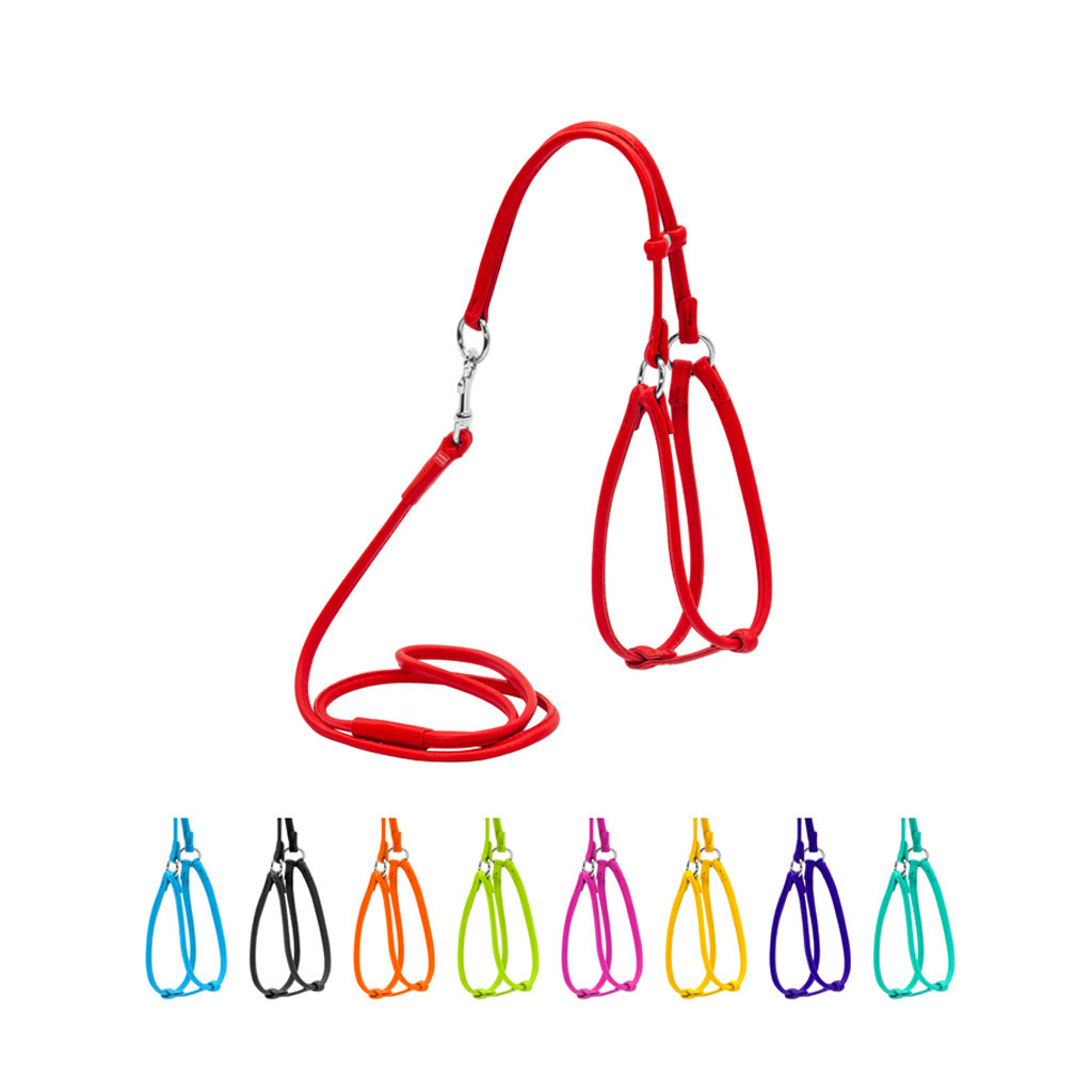 Шлея для собак WAUDOG Glamour кругла, з повідцем XS червона (34023) - зображення 1