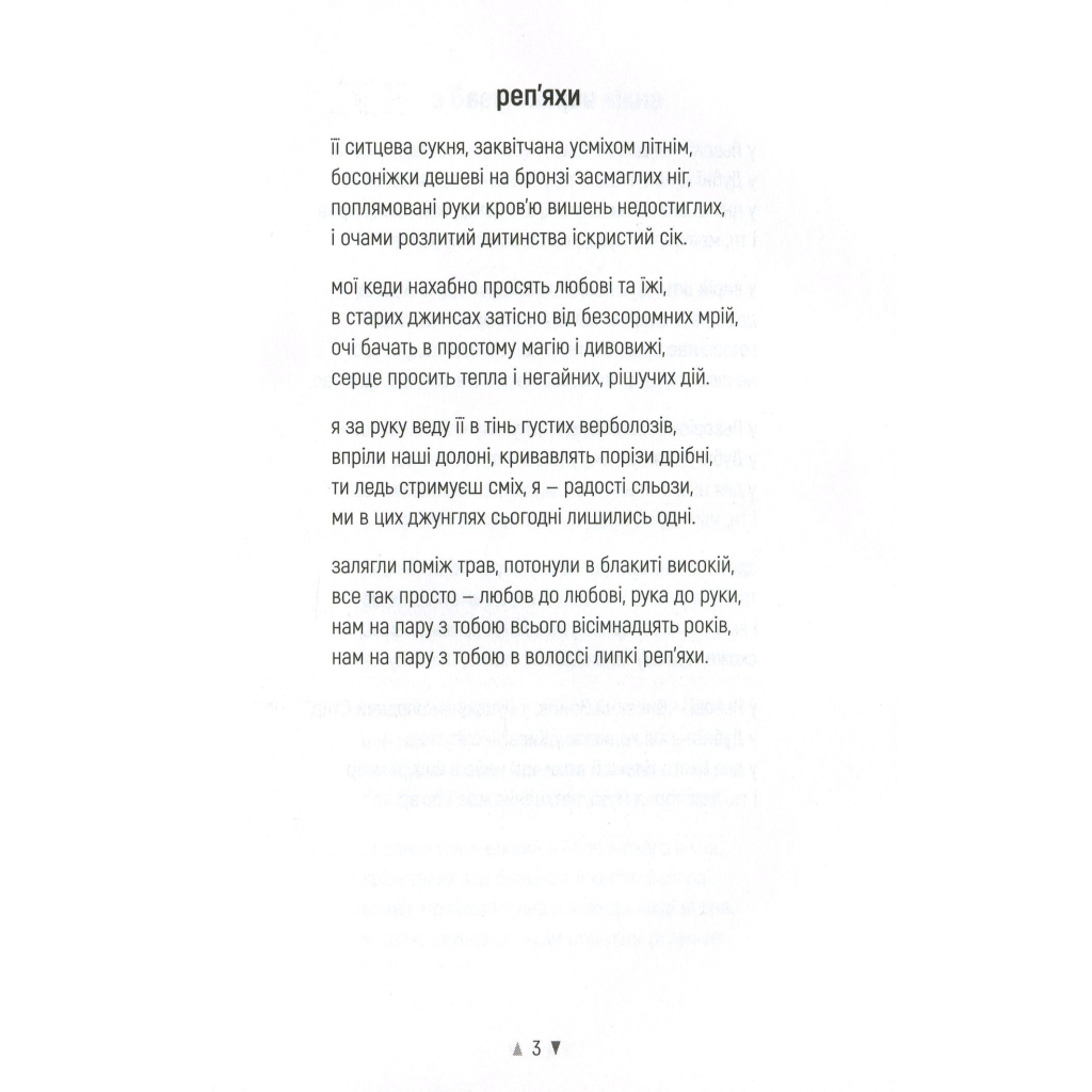 Книга Реп'яхи - Сергій "Колос" Мартинюк Фабула (9786170959911) - зображення 3