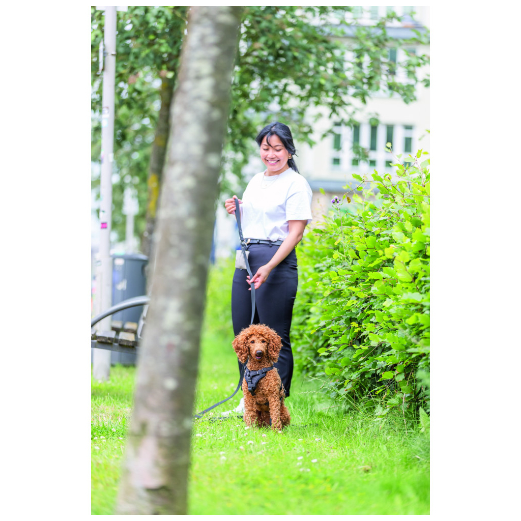 Шлея для собак Trixie CityStyle H-harness Бавовна XS–S 30–44 см 10 мм Чорна (4053032682580) - зображення 2