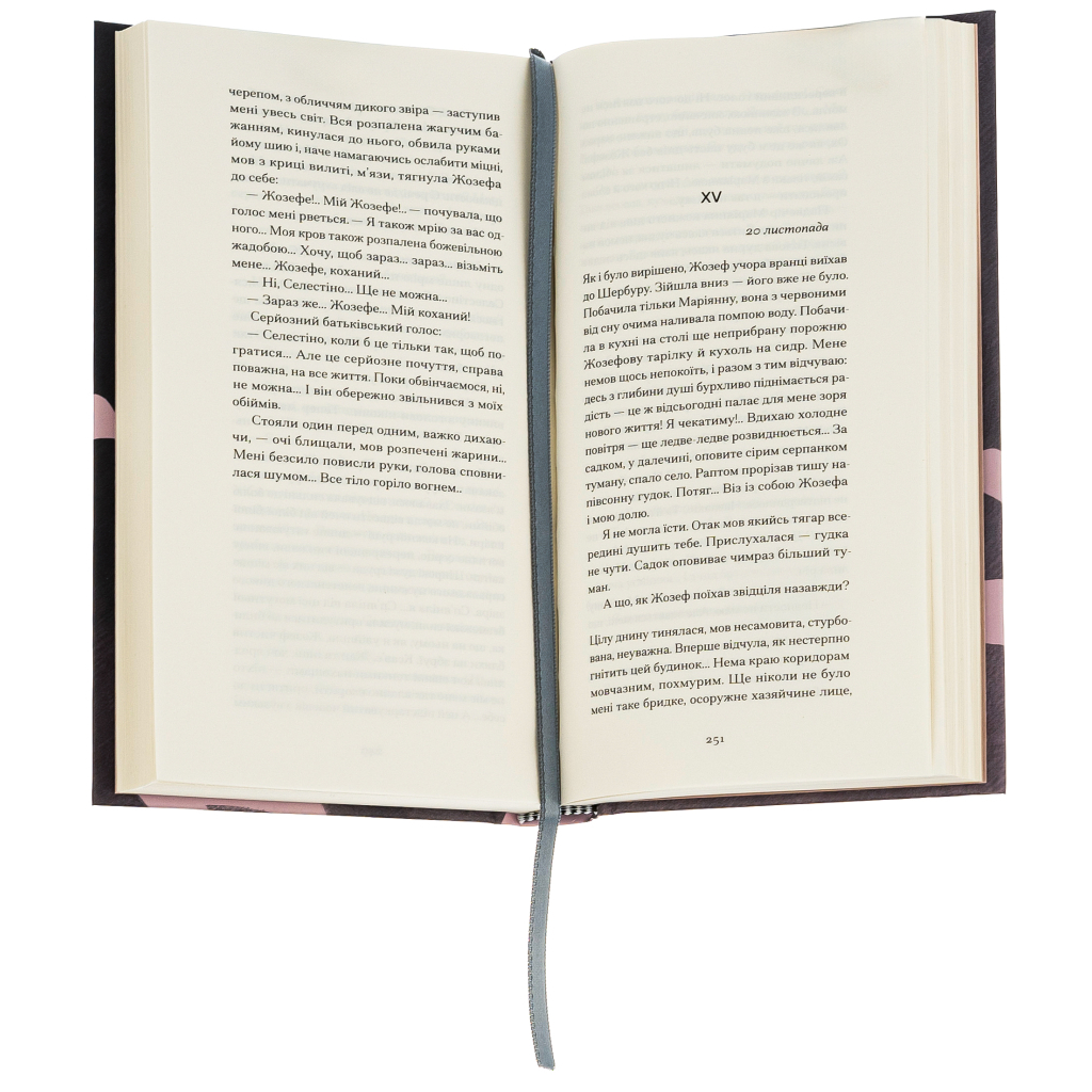 Книга Щоденник покоївки - Октав Мірбо Ще одну сторінку (9786175221662) - зображення 3