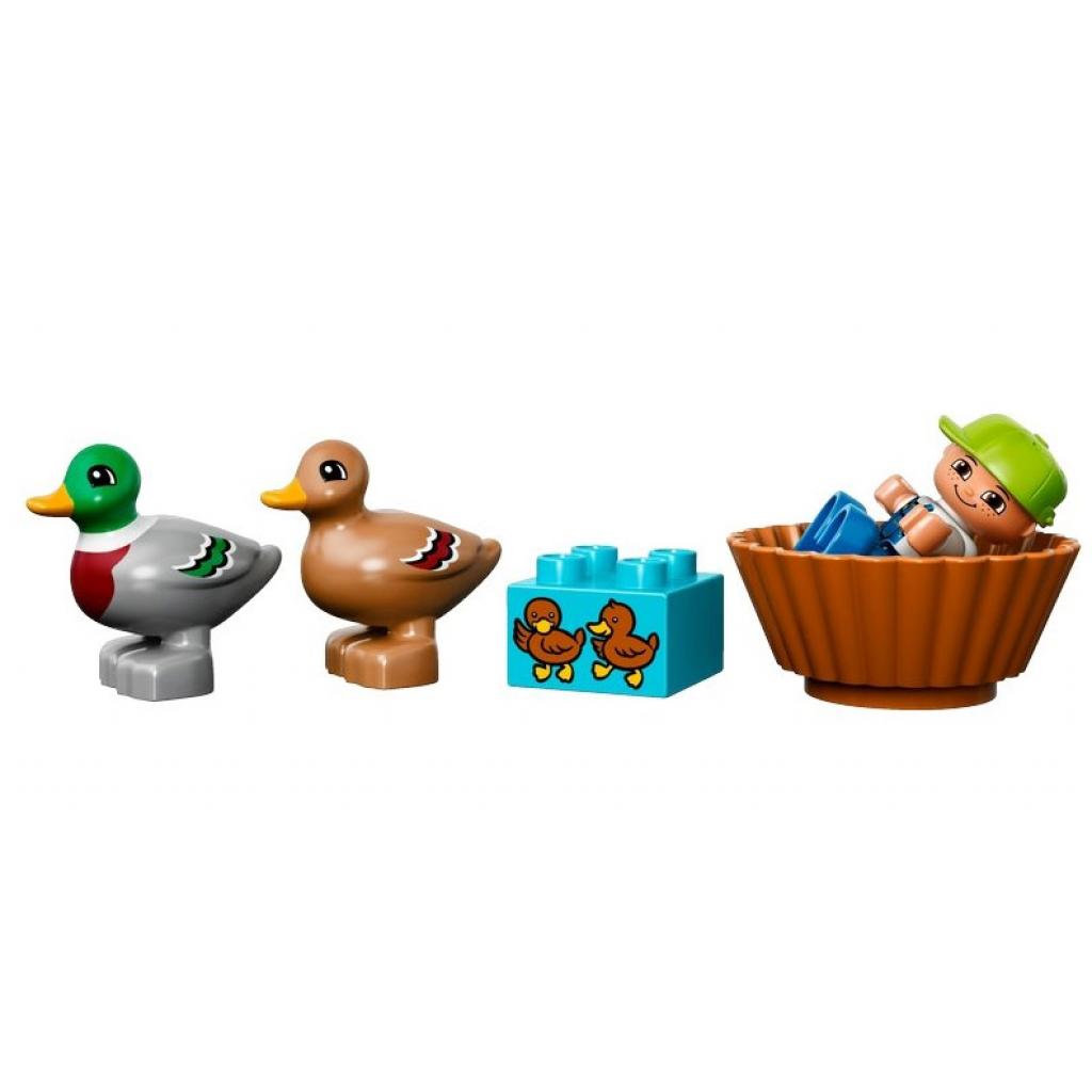 Конструктор LEGO Duplo Ліс Качки (10581) - зображення 4