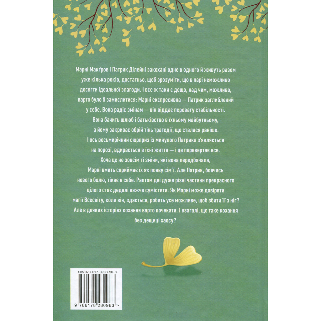 Книга Щаслива катастрофа - Медді Довсон Видавництво РМ (9786178280963) - зображення 2