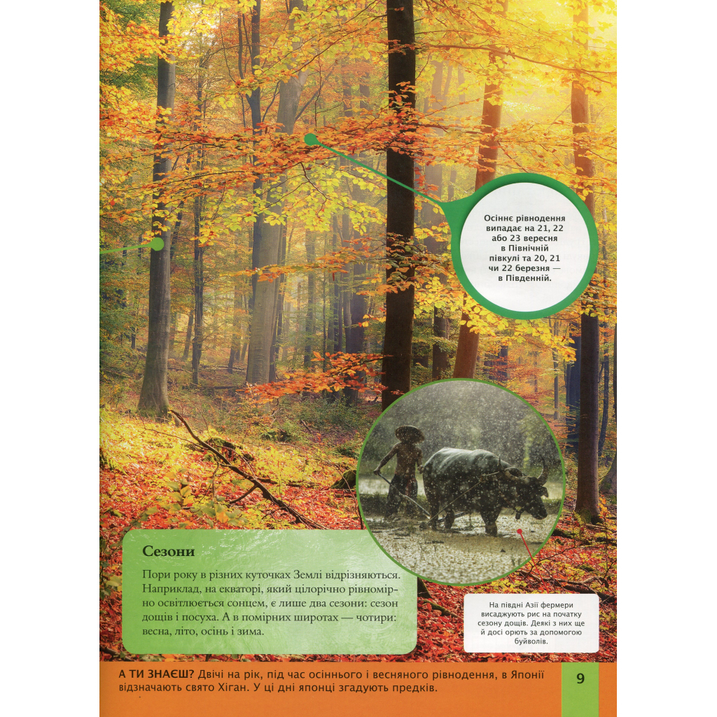 Книга Дитяча енциклопедія планети Земля - Клер Гібберт, Гонор Гед Vivat (9789669429865) - зображення 9
