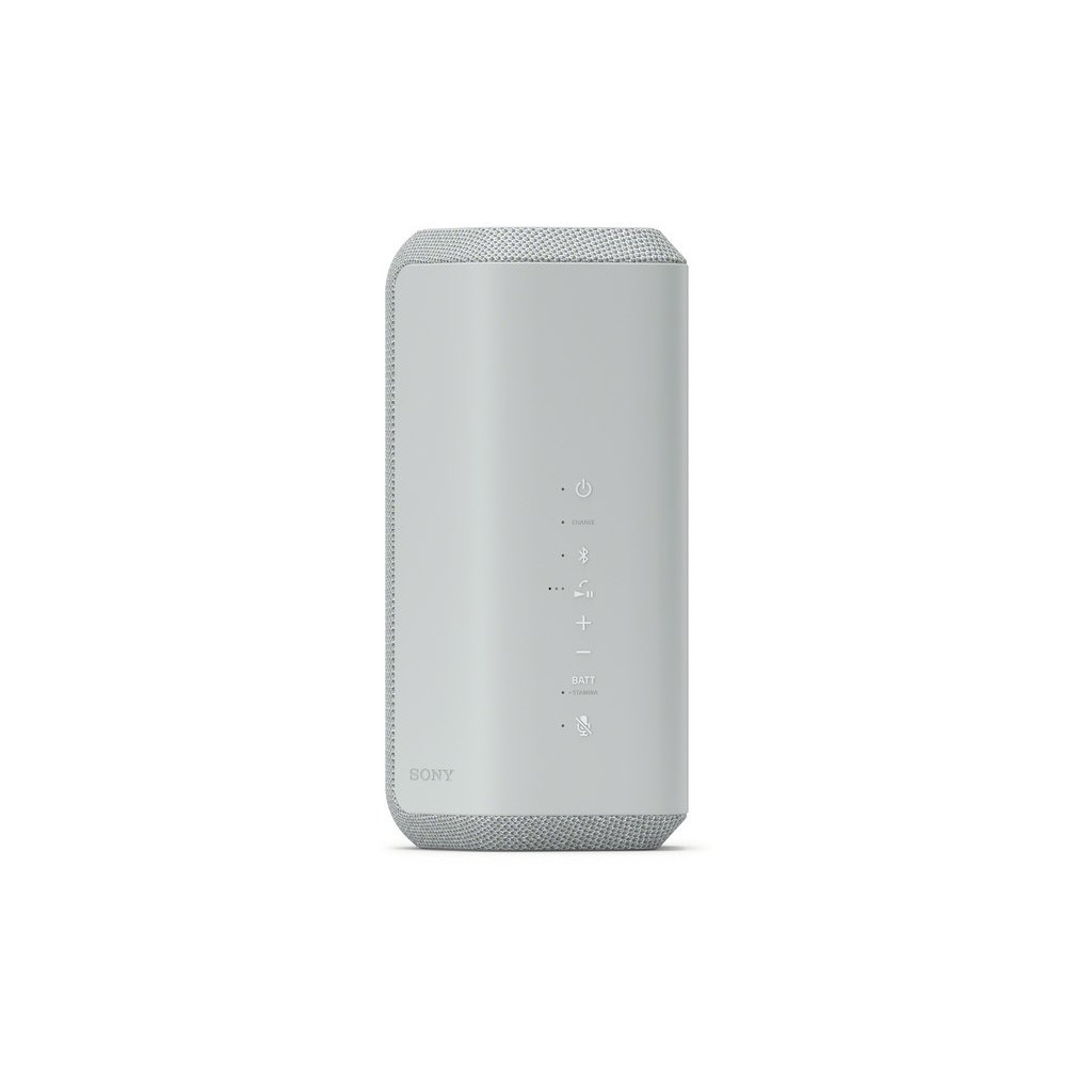 Акустична система Sony SRS-XE300 Grey (SRSXE300H.RU2) - изображение 1