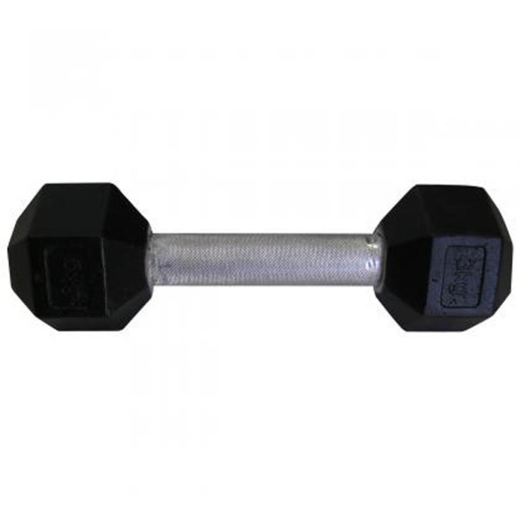 Гантель Newt profi 3кг (NE-101-003) - зображення 1