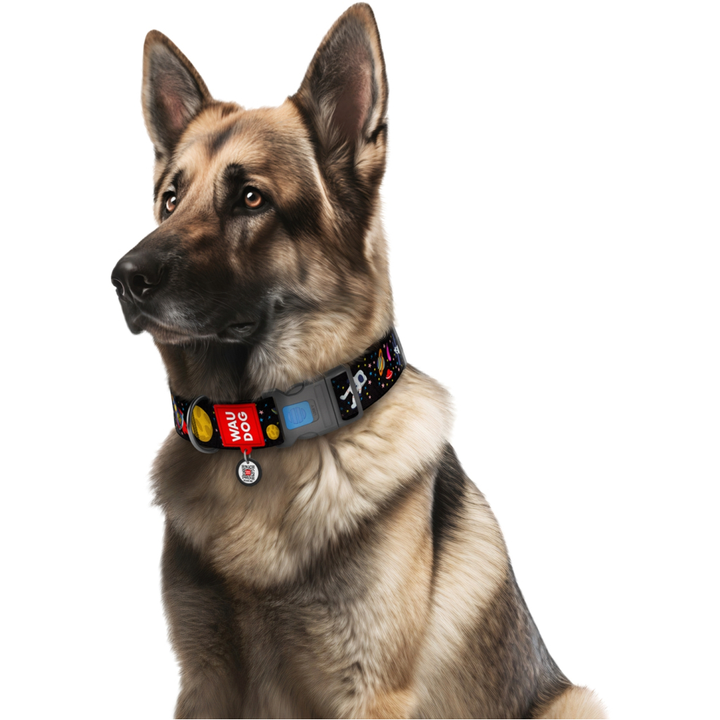 Нашийник для тварин WAUDOG Nylon з QR паспортом NASA пластиковий фастекс L (4750) - зображення 4