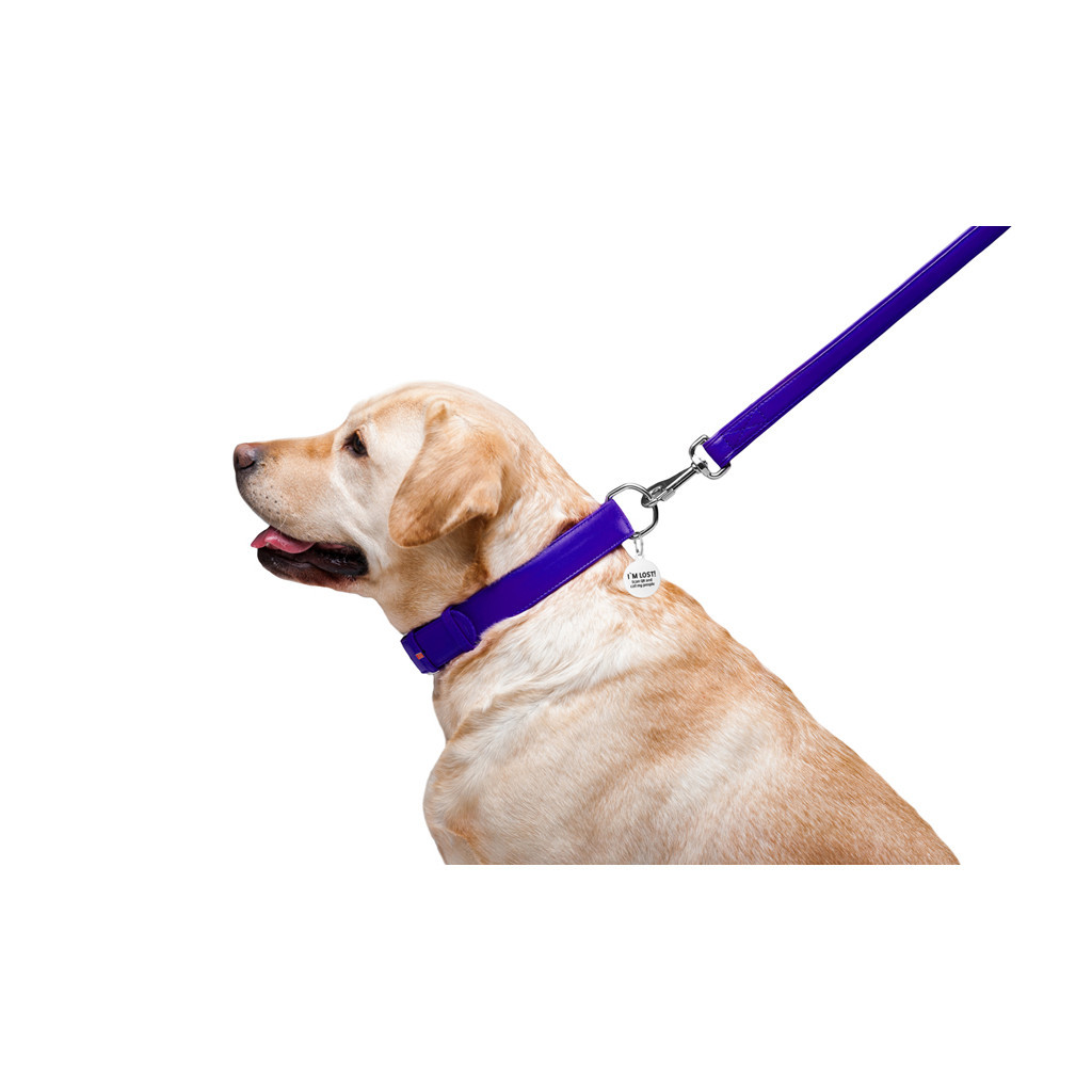 Повідець для собак WAUDOG Glamour шкіряний M-XXL фіолетовий (33769) - зображення 6