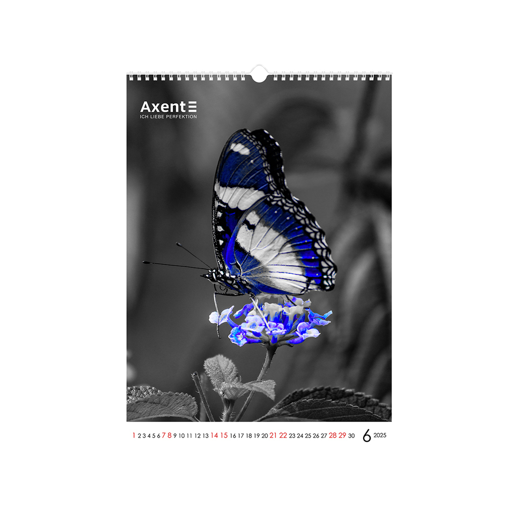Календар Axent настінний А3 2025 рік One color art (8804-25-2-A) - зображення 7