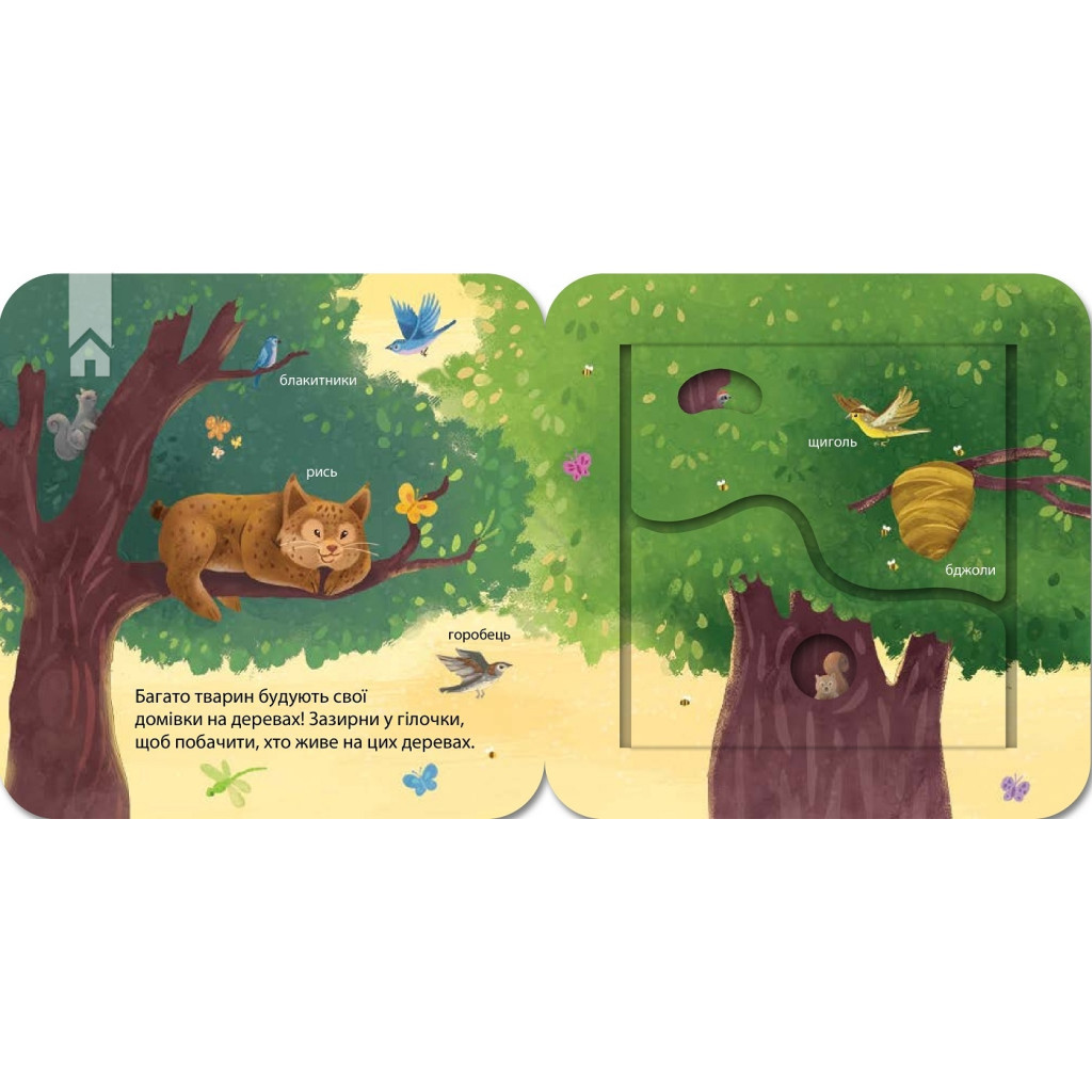 Книга Хто живе у лісі? Зазирни у віконечко - Джей Ґарнетт КСД (9786171502840) - изображение 4