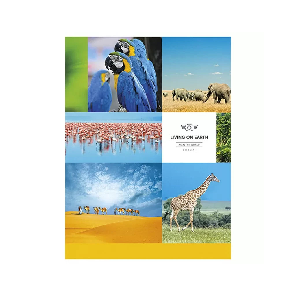 Зошит Школярик А5 Student лінія 80 аркушів (A5-080-5057L) - зображення 2