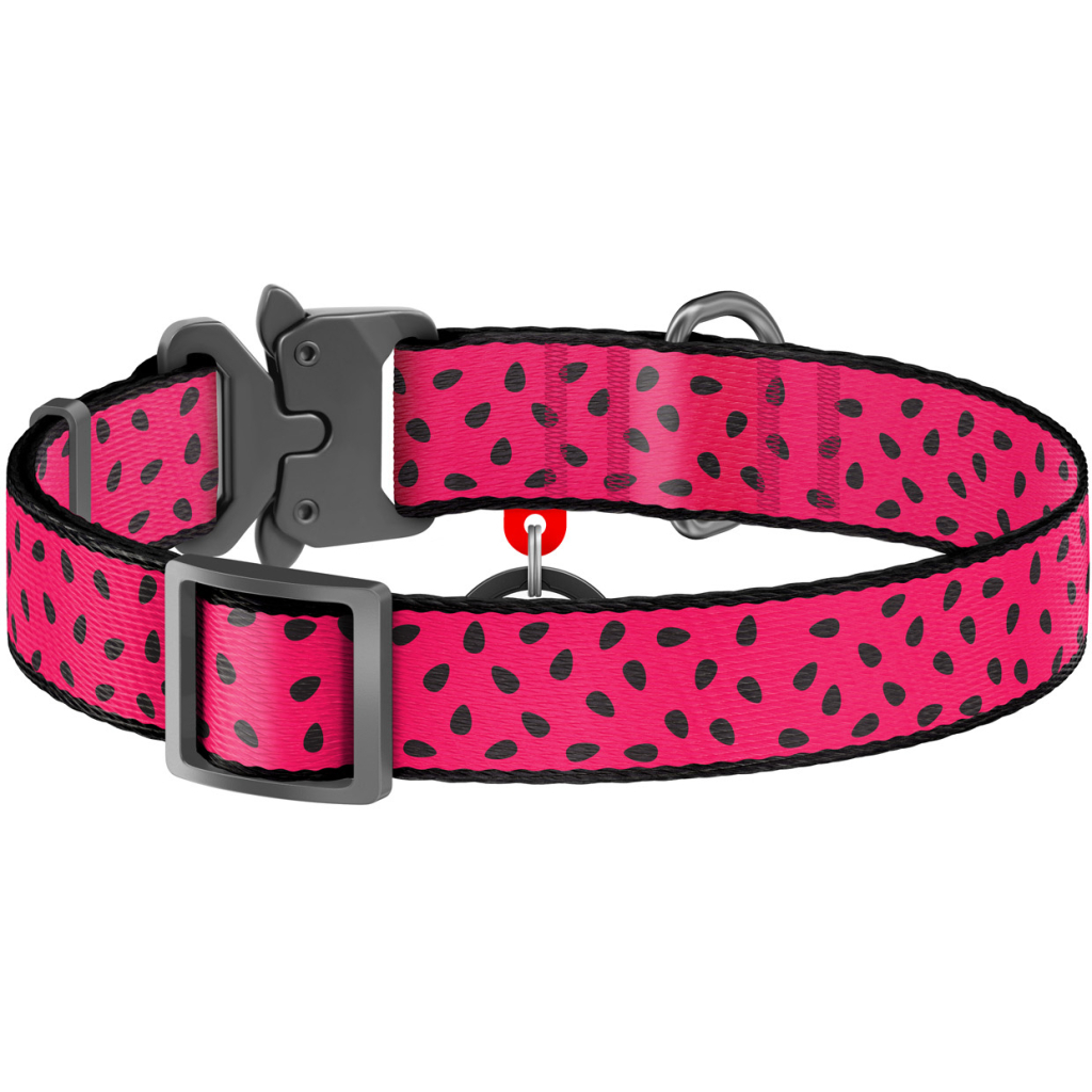 Нашийник для тварин WAUDOG Nylon "Кавун" металічна пряжка-фастекс S (5145) - зображення 2