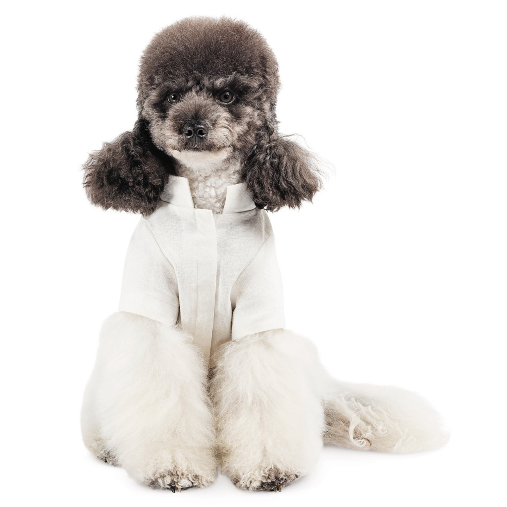 Футболка для тварин Pet Fashion Ostap XS (4823082439263) - зображення 6