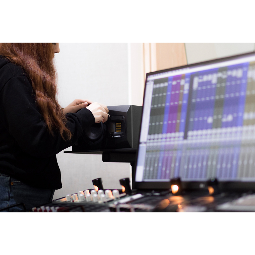 Студійний монітор ADAM Audio A4V (235744) - изображение 10