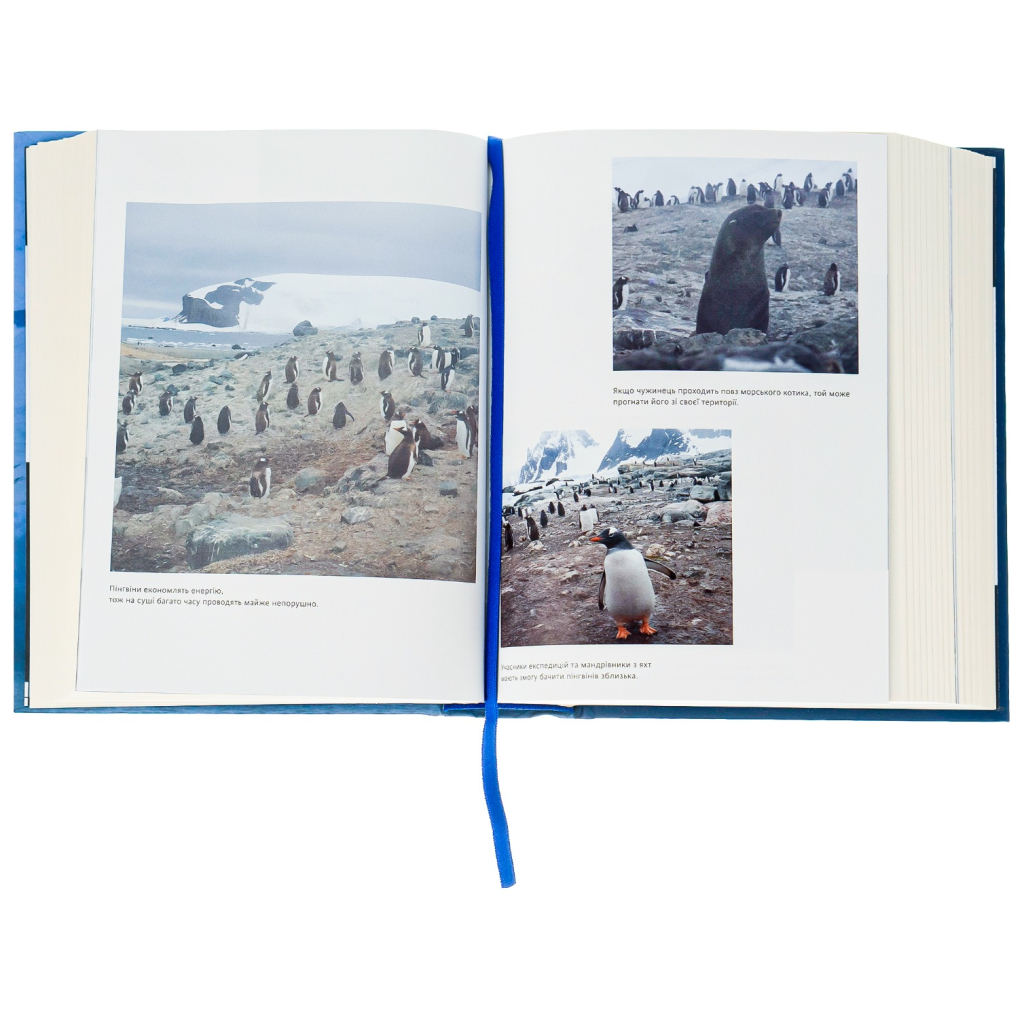 Книга Мрія про Антарктиду - Маркіян Прохасько Видавництво Старого Лева (9789666799886) - зображення 5