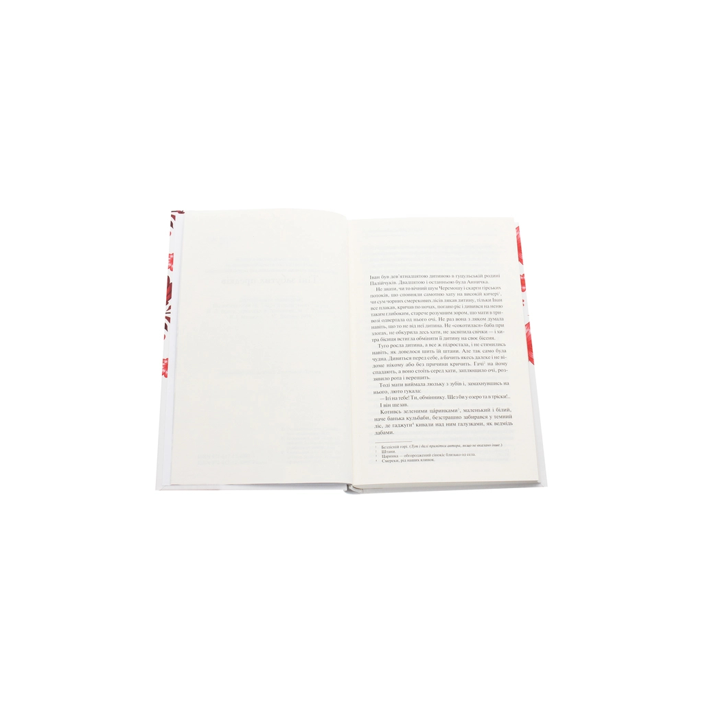 Книга Тіні забутих предків - Михайло Коцюбинський КСД (9786171263031) - зображення 4