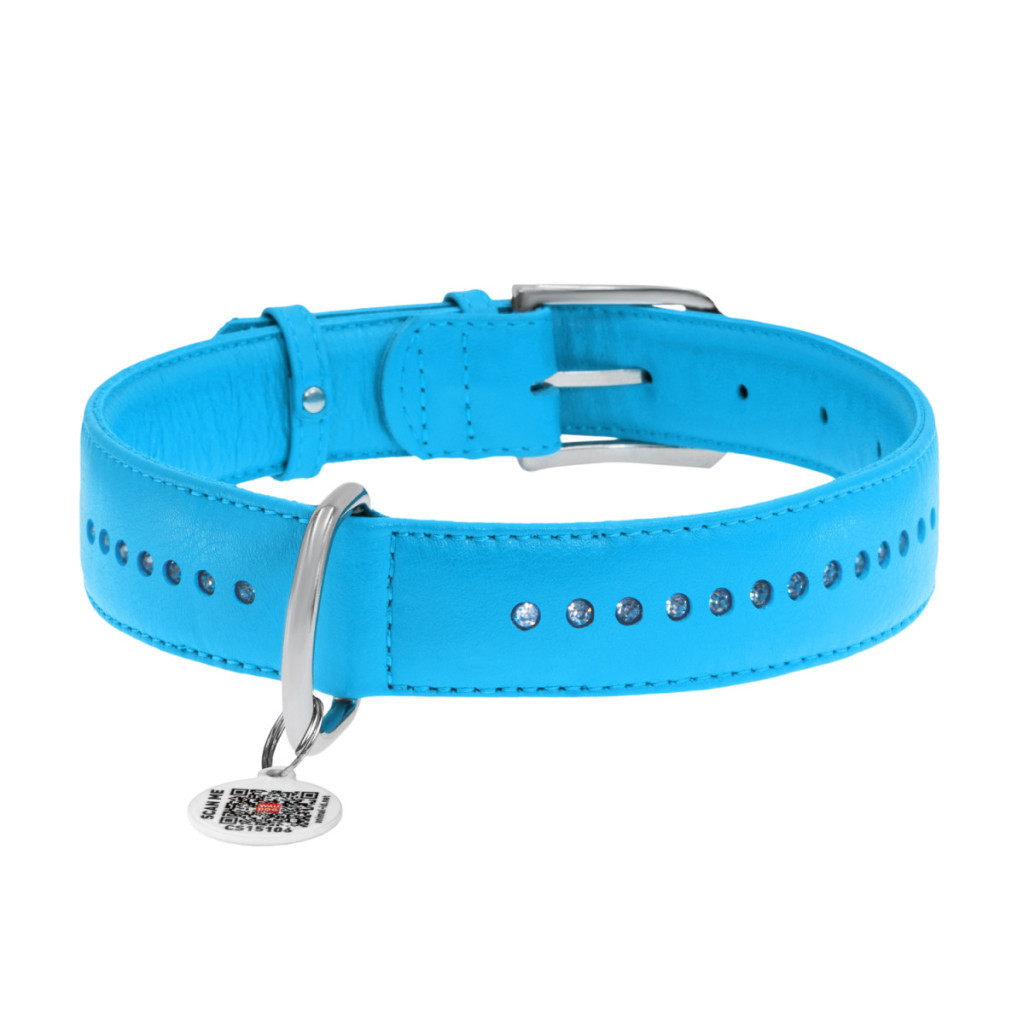 Нашийник для тварин WAUDOG Glamour з QR-паспортом, подвійний Ш 20 мм Д 30-39 см блакитний (38762) - зображення 2