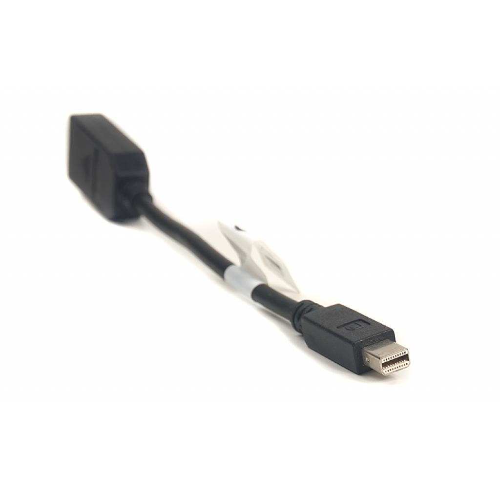Перехідник mini DisplayPort (Thunderbolt) M — DisplayPort F 0.2m PowerPlant (CA910472) - зображення 2